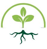 logo1-removebg-preview